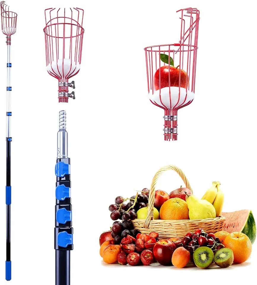 13 Foot Fruit Picker Pole with Basket for Fruit Trees