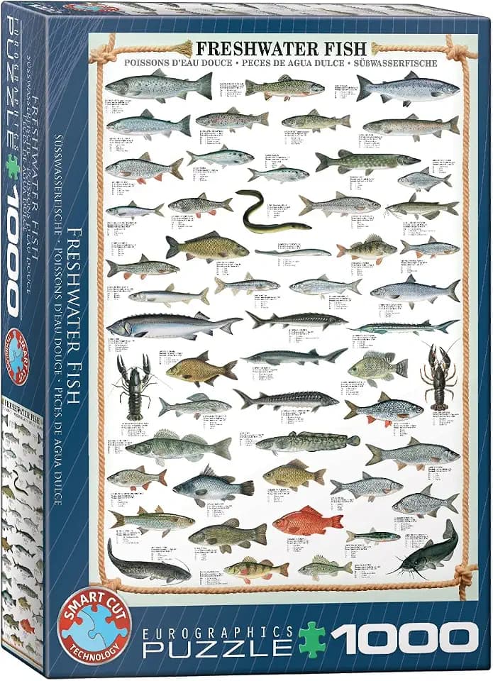 EuroGraphics 1000 Teile - Süßwasserfische 6000-0312 mehrfarbig