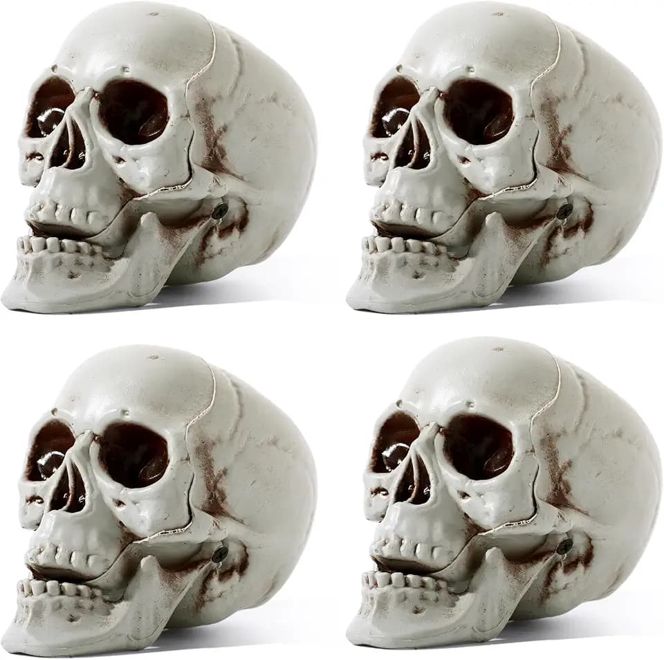 Sratte 4 Pcs Halloween Plastic Skull Human Skeleton Model,5.1 Inch