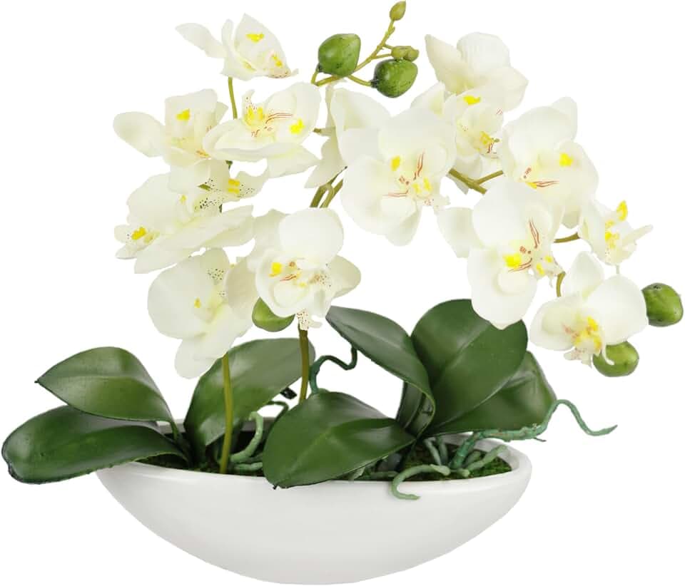 Künstliche Orchidee in Schale 27cm Kunstblume Blume Kunstorchidee Phalaenopsis mit Übertopf Kunstpflanze Hochzeit Deko Schmetterling Phalaenopsis Dekoblume Seidenblume Blumenarrangements, weiß