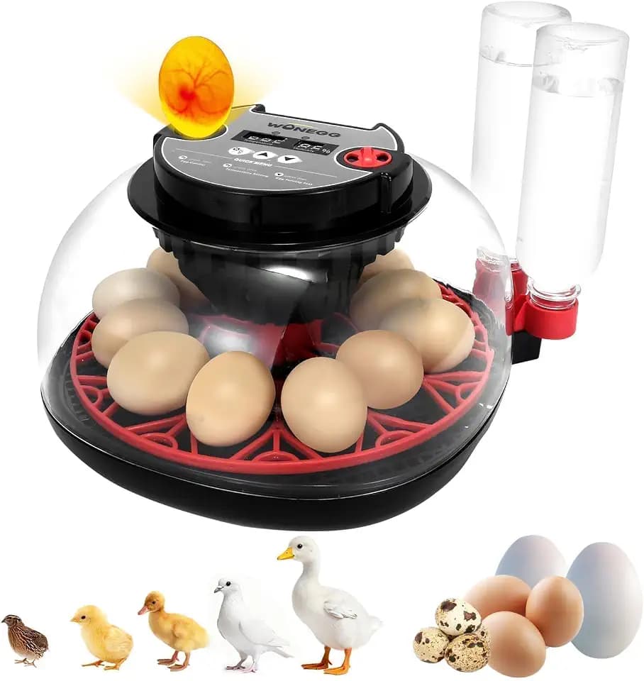 Gen II - 12 Egg Automatic Incubator, Two-Stage Humidity with Auto-Refill & Stable Temp Control, Auto Egg Turning, Candler, Real-Time Display for Hatching Chicken, Goose, Duck, Quail, Pigeon