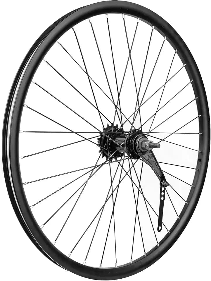 Coaster Brake Rear Wheel, 28 Hole High-Profile Double Wall Rim, Fits 20/24/26x1.75-2.35 Inch Tires, Backpedal Foot Brake Wheel for BMX Cruiser Kids Folding Bike Replacement