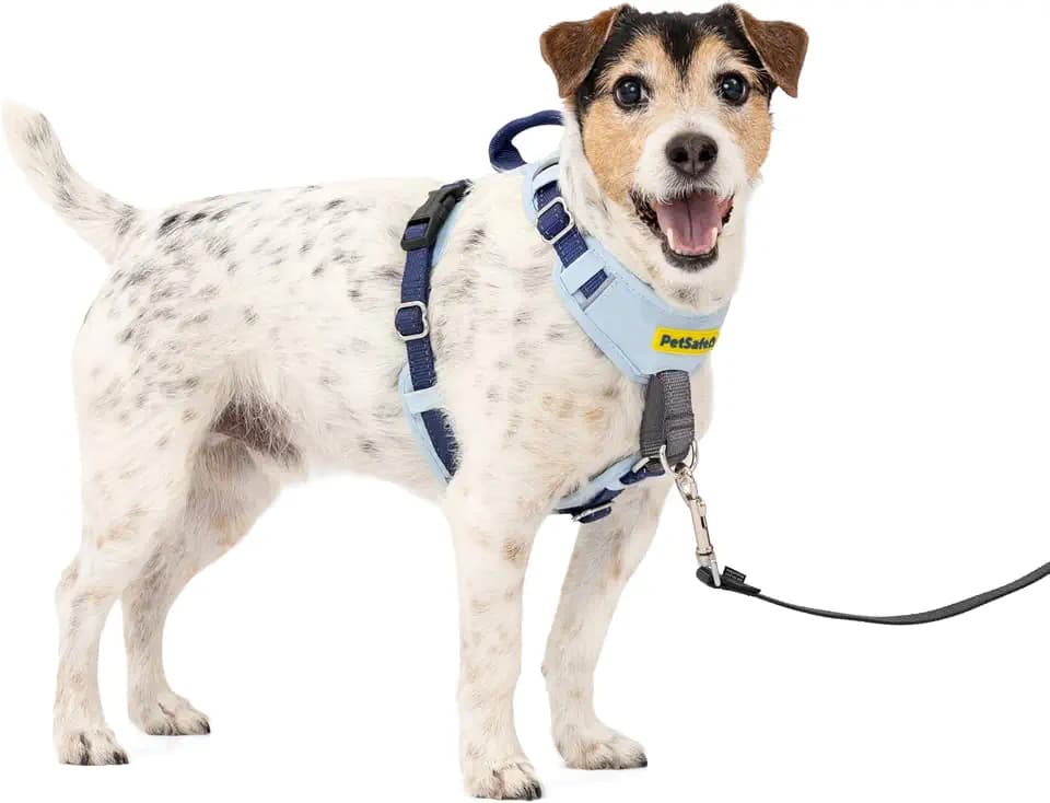 PetSafe Easy Walk Comfort No Pull Dog Harness, Blue, Small