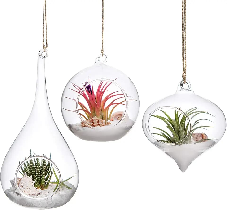 Mkono 3 Pack Air Plant Holder, Glass Hanging Planter Terrarium Globe Hanger