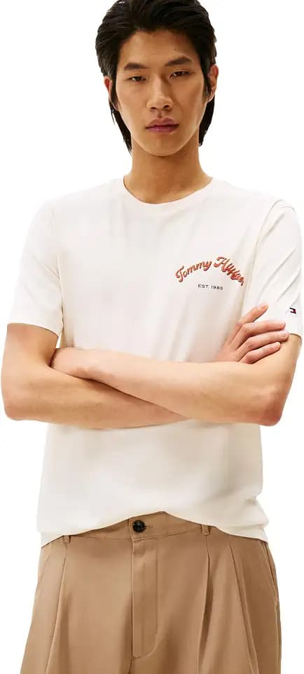 Tommy Hilfiger Men's Short Sleeve Cotton Graphic T-Shirts with Printed Arched Back Graphic