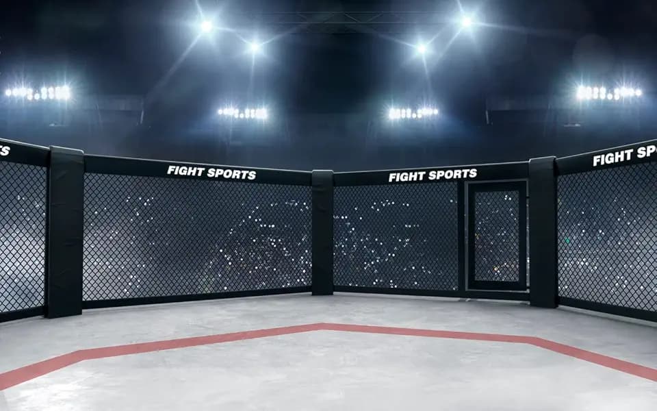BELECO 7x5FT Fabric Boxing Backdrop Stadium Light 3D Arena Photo Backdrop Fight Sports Competition Ring Photography Background UFC Decor Baby Shower Birthday Party Boys Men Photo Props