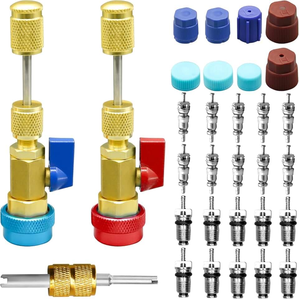CANIPHA 1 Set of R134A Valve,31-teiliges R134A-Ventilkern-Schnellentferner-Installationswerkzeug-Set, Hoch-Niederdruck-Ventilkern-Entfernungswerkzeug mit R134A-Ventilkern-AC-Service-Port-Kappen