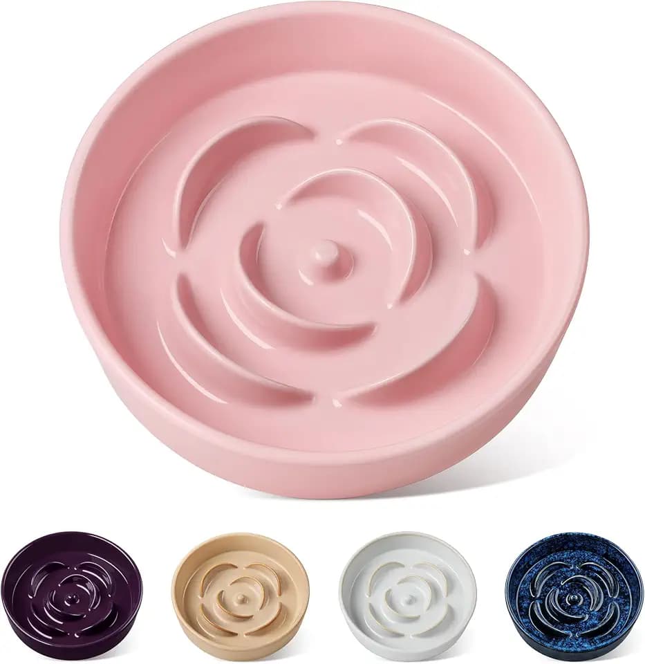vancasso Ceramic Slow Feeder Dog Bowl, 0.6 Cup Puzzle Dish for Small Breeds