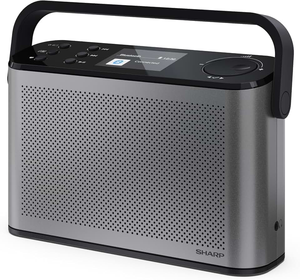 SHARP DR-P540(GY) Osaka Tragbares Digitalradio – DAB+/FM, Bluetooth 5.3, BestTune-Technologie, 120 Radiosender-Speicherplätze, USB-C Ladeanschluss, 12 Std Akkulaufzeit, 2,4 Zoll Farbdisplay – Grau
