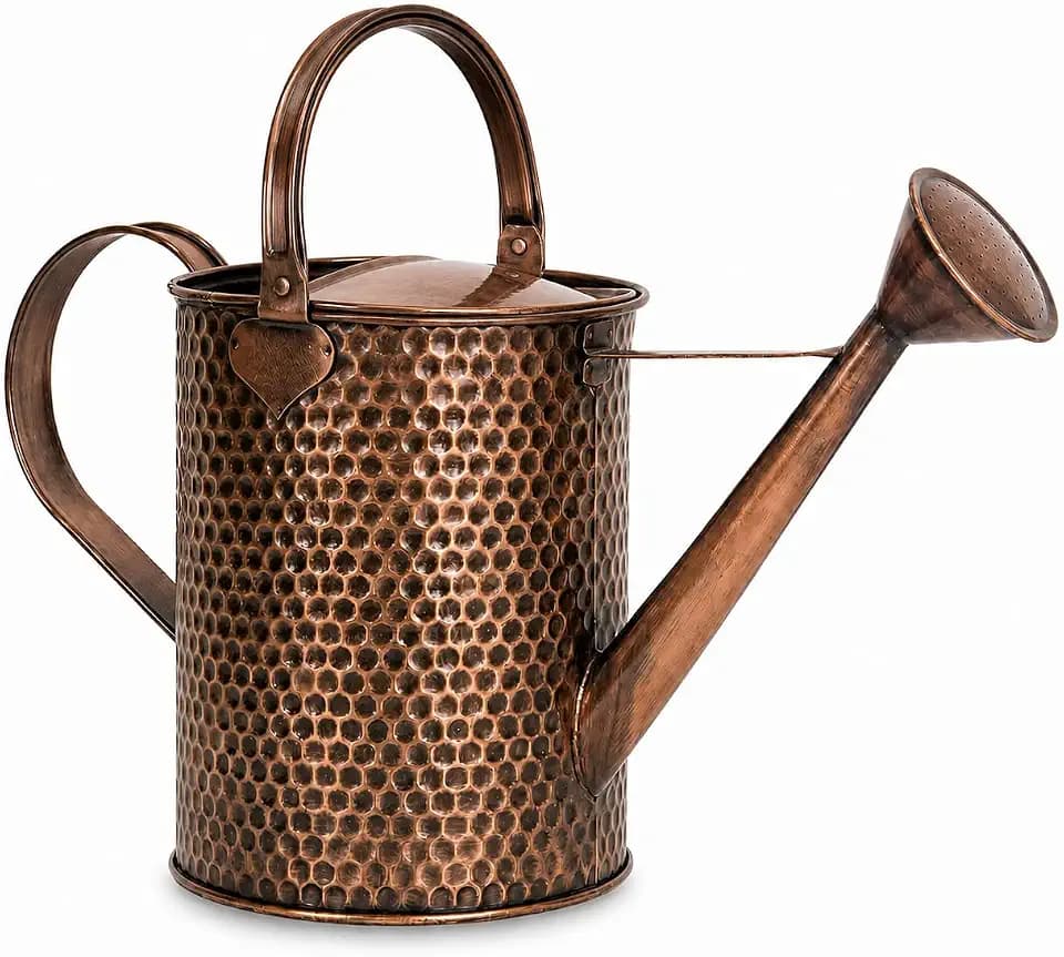 Gardenised 1-Gallon Steel Watering Can with Precision Long Spout for Controlled and Shower Watering Ideal for Indoor & Outdoor Plants Flowers & Houseplants, Brown