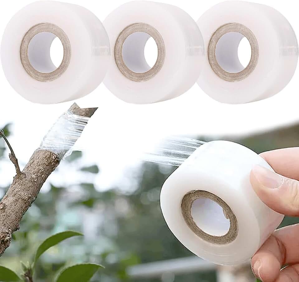 Veredelungsband 3 Rollen Transparent Dehnbar, 100m x 3cm für Obstbäume