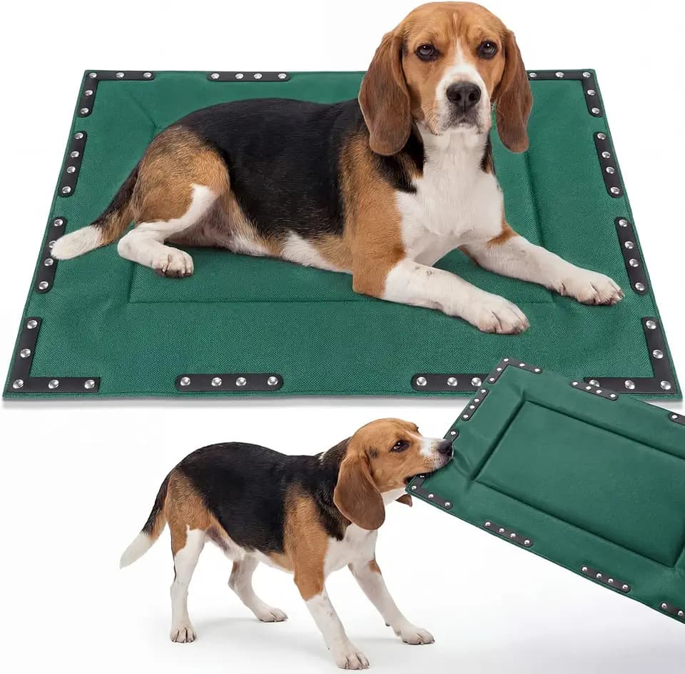 Colingmill Chew Proof Indestructible Dog Crate Bed, Green, 33” X 22”