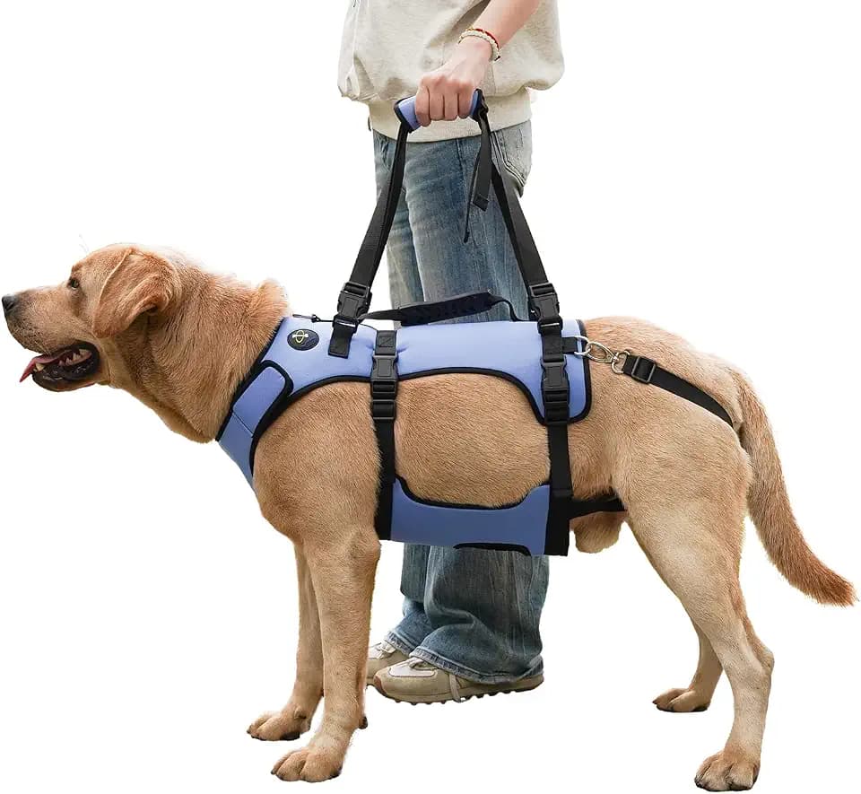 COODEO Hundegeschirr, Ganzkörperstütze und Erholungsweste, verstellbar und atmungsaktiv, für ältere, behinderte, gelenkverletzte, arthritische und gelähmte Hunde. (Blau, 2XL)