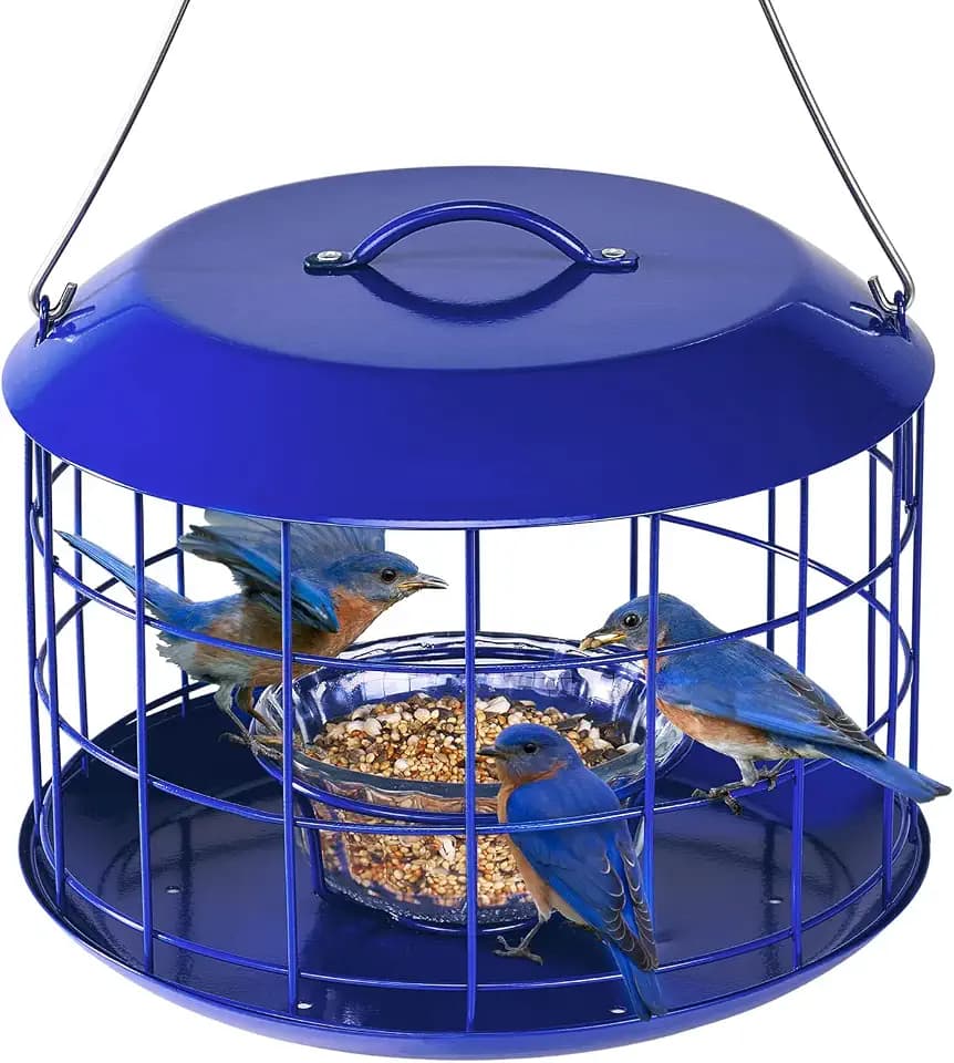 Kingsyard Bluebird Feeders for Outdoors Hanging