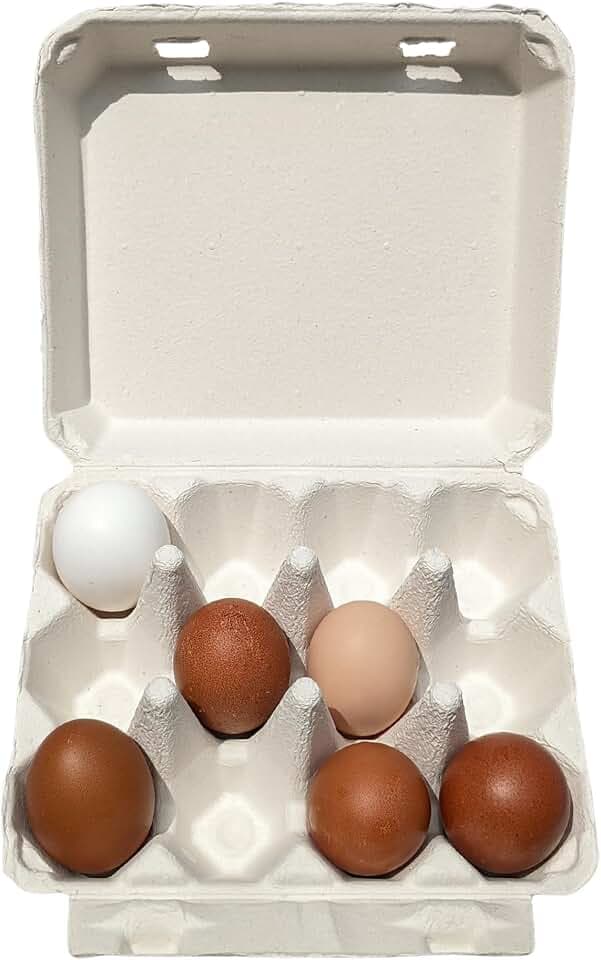 Classic 3x4 Farmhouse Egg Cartons - Blank Top for 12 Large Eggs (White, 200