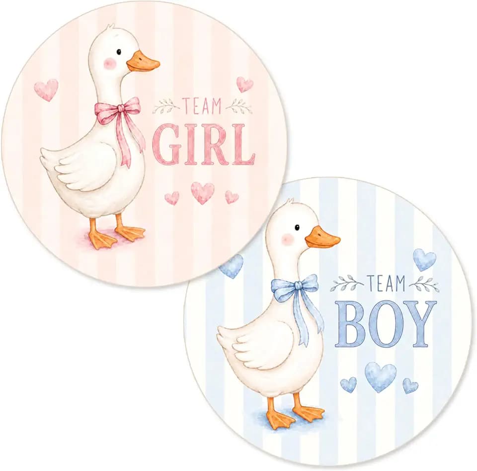Silly Goose Gender Reveal Party Stickers, 40 Count