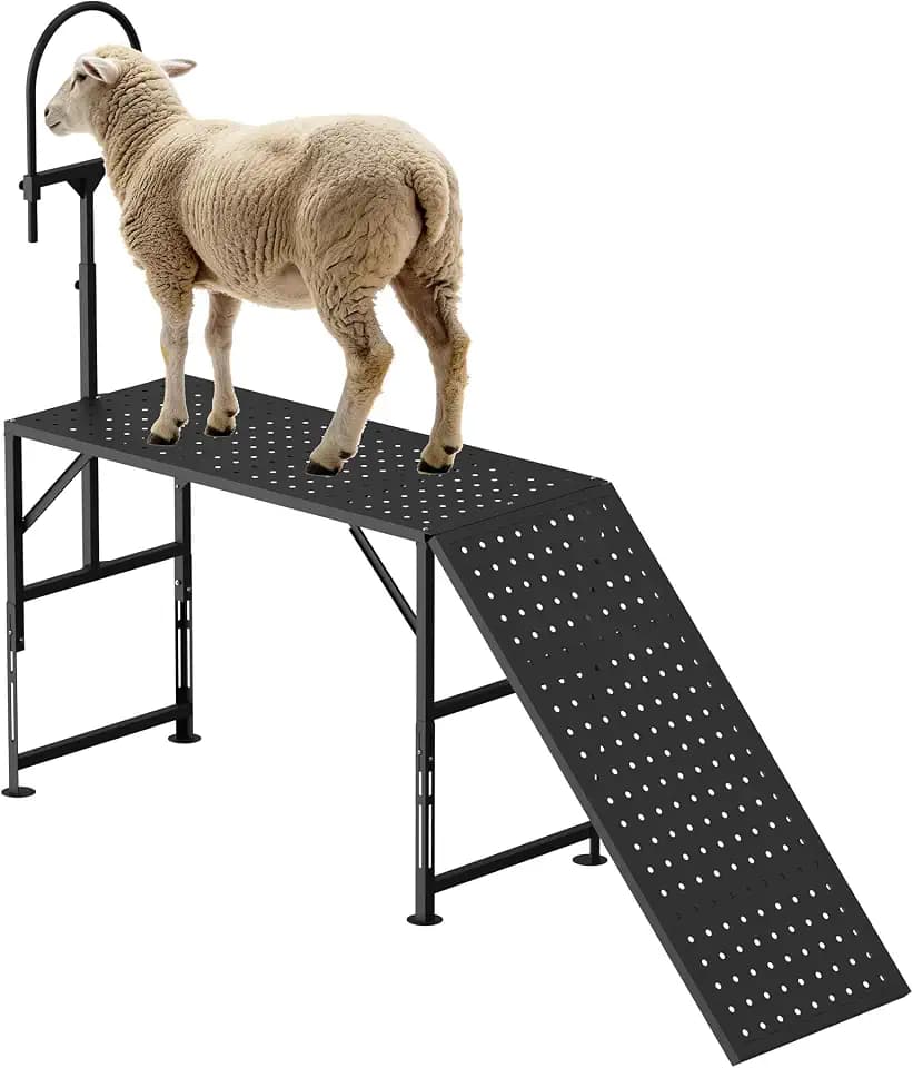 Goat Milking Stand with a Ramp, Metal Livestock Stand 45“ x 20"