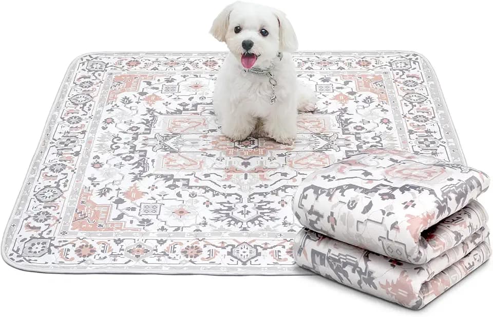 Paw Inspired Designer Light Persian Print Dog Pads, 36x36 Inch Size, 2 Pack