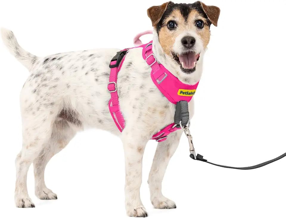 PetSafe Easy Walk Comfort No Pull Dog Harness, Pink, Small