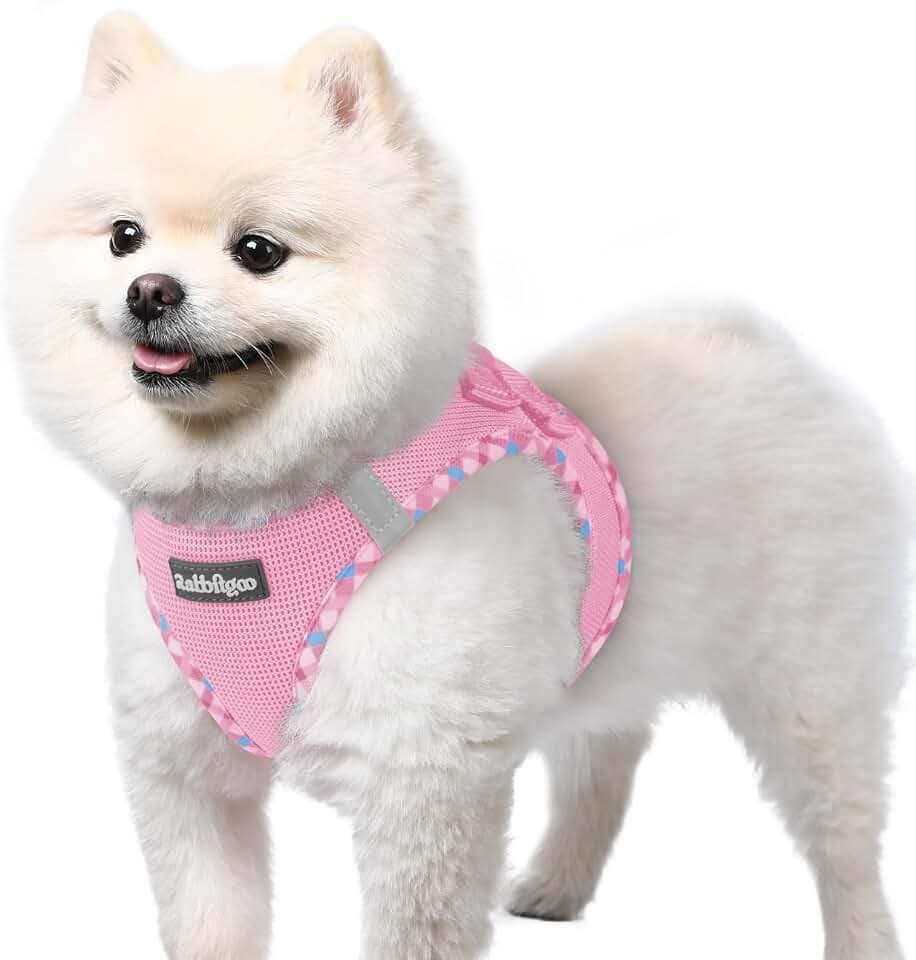 rabbitgoo Hundegeschirr Kleine Hunde, Step-in Weiches Mesh, Rosa Plaid Trim
