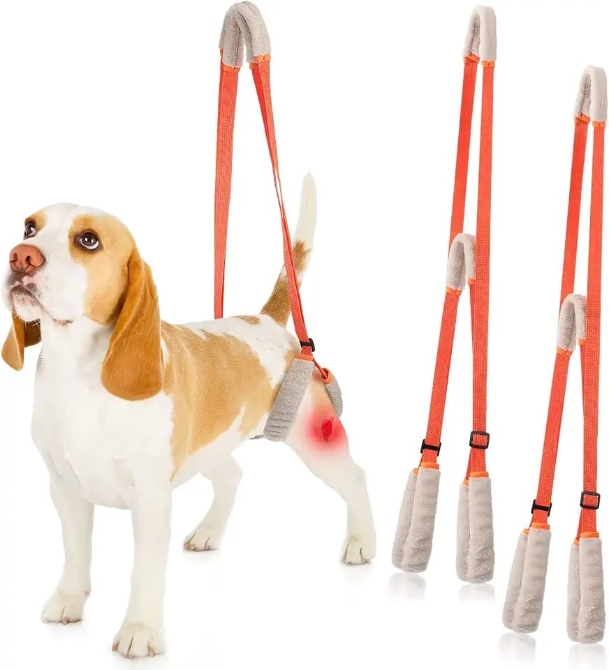 Mixweer 2 Pcs Dog Rear Leg Support Harness Lift Sling Handles, Orange