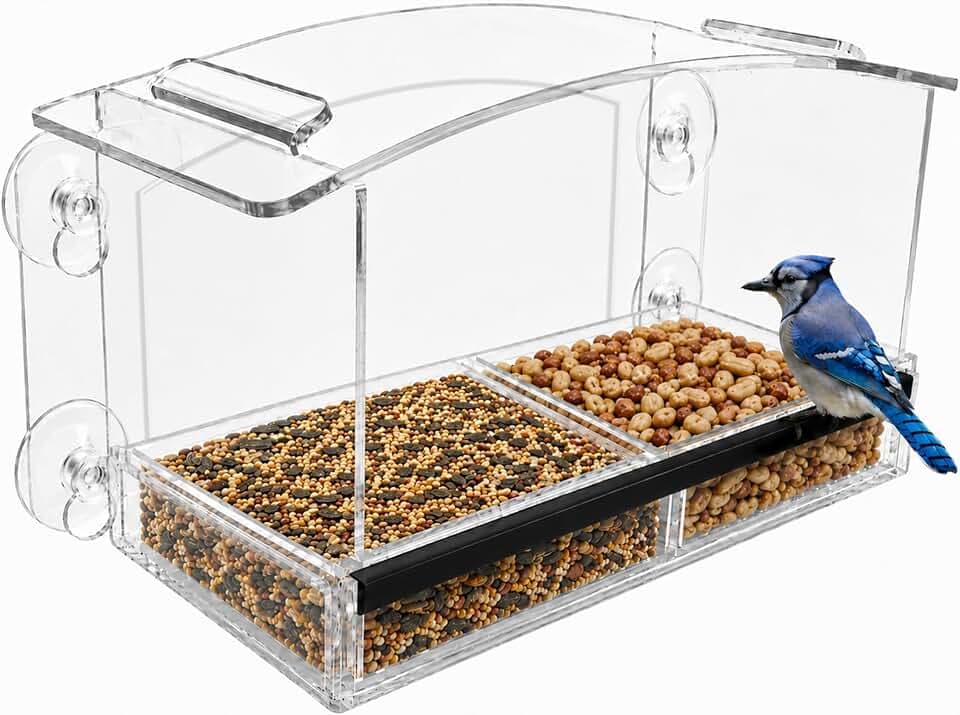 Nature Gear Acrylic Clear Window Bird Feeder with Strong Suction Cups, Removable Sliding Seed Tray, Weather-Resistant & Easy to Clean for Window Viewing, Earth-Friendly Dome