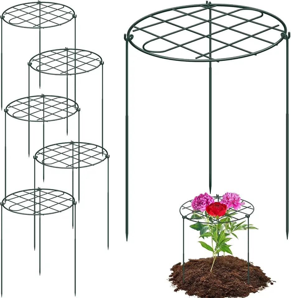 6 Pack 16 x 24 Inch Peony Cages and Supports for Outdoor Plants