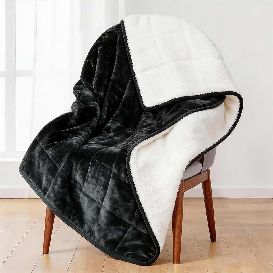 Alomidds Weighted Blanket (Queen Size 20lbs 60x80 inches) with Soft Plush Fleece, Throw Blanket with Cozy Warm Sherpa,Ultra Fuzzy Heavy Blanket Microfiberfor for Sofa Bed, Dark Grey