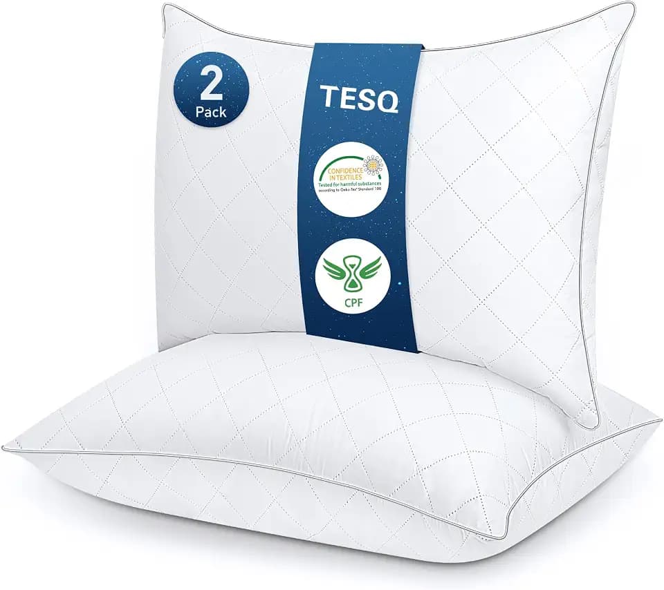 TESQ Kopfkissen, 50 x 70 cm, 2 Stück, Hotelqualität, Öko-TEX | Waschbar, weicher Komfort, atmungsaktiv, hypoallergen, geeignet für alle Schlafpositionen