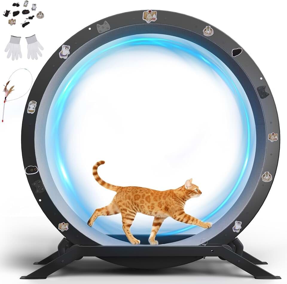 GTPLAYER Cat Wheels, 40" Diameter, Large Cat Exercise Wheel for Indoor Cats cat Treadmill Metal with Detachable Carpet & Teaser/Stickers, Ultra-Quiet Scroll Wheel with Latch, Safe and Stable, Grey