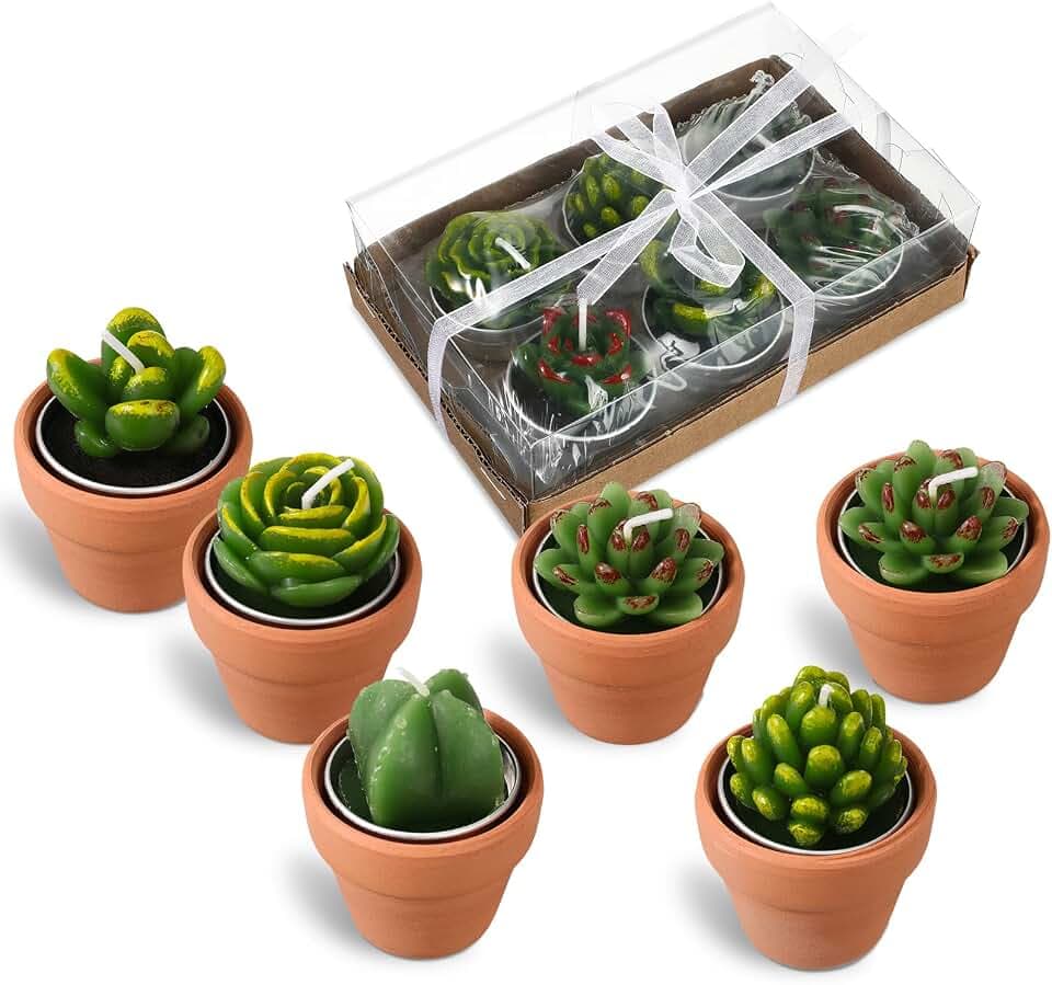 Treela 6 Pcs Succulent Cactus Tealight Candles with Mini Terracotta Pots