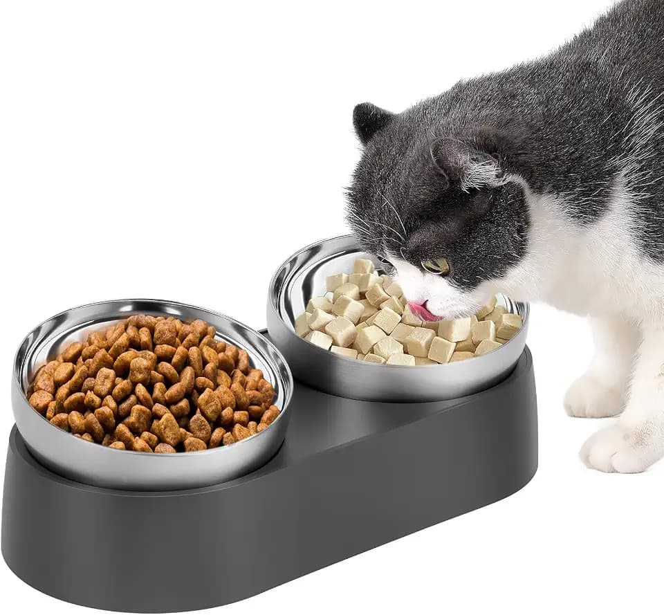 Doppelter Futternäpfe Katzenfutte, Fressnapf Katze