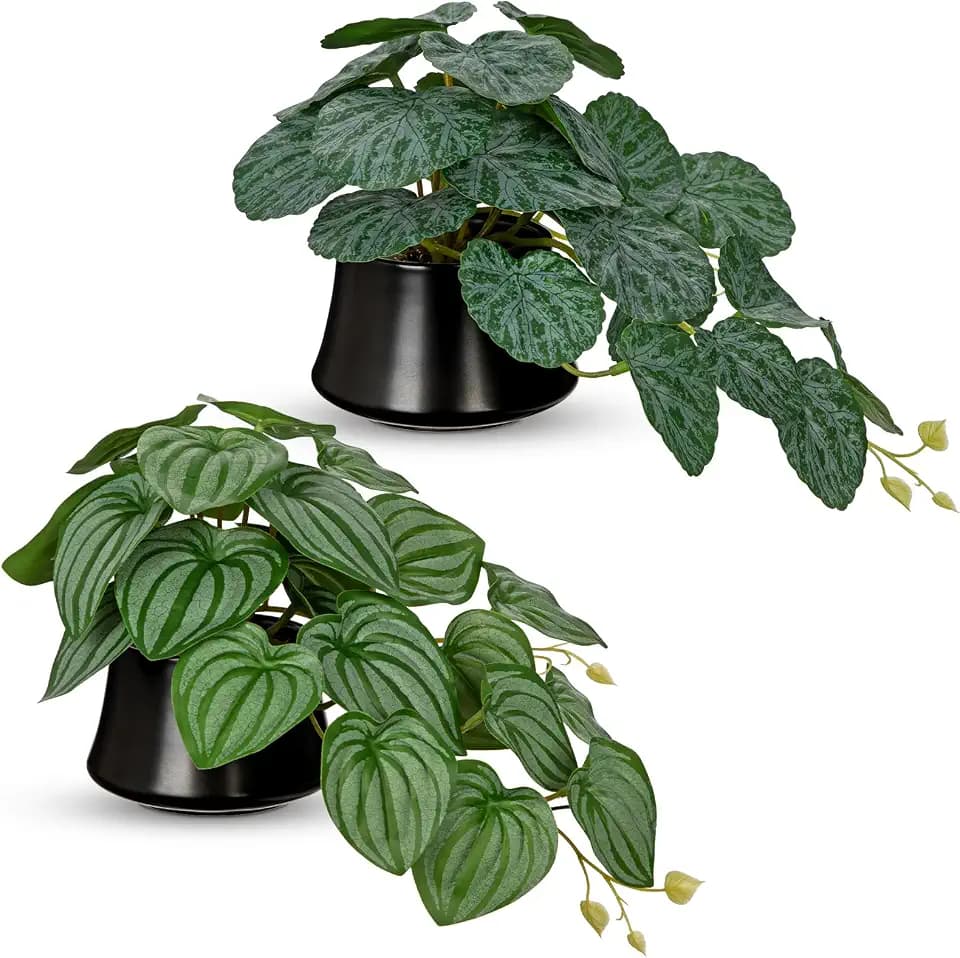 Briful Künstliche Pflanzen im Keramiktopf 2er Set – Watermelon Peperomia & Grüne Kunstpflanzen Deko für Regal, Schreibtisch, Wohnzimmer & Badezimmer