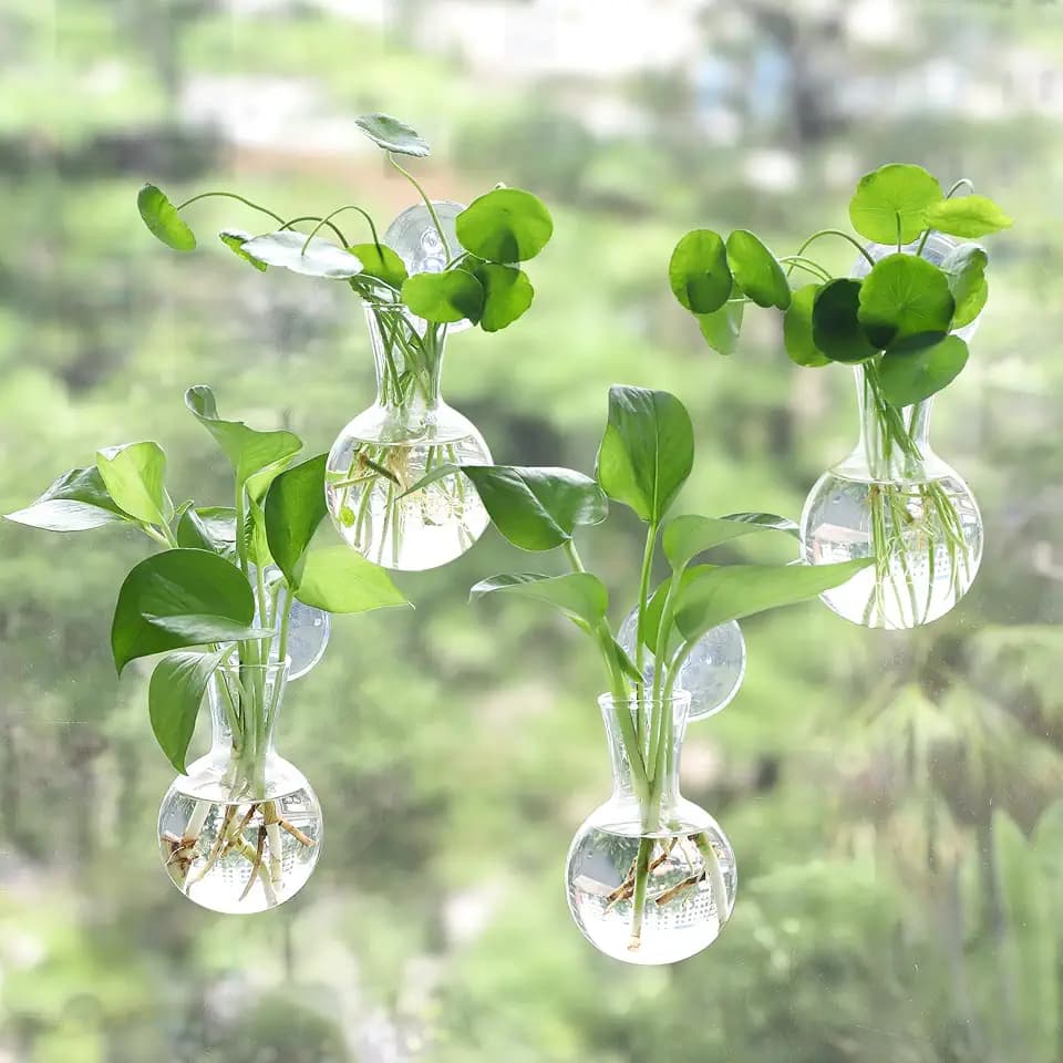 Bunmery 4 pcs Window Propagation Stations, Easy to Install Plant Propagation Bulbs with Suckion Cups, No Nails Wall Hanging Planter Propagation Station, Glass Plant Terrarium Vase