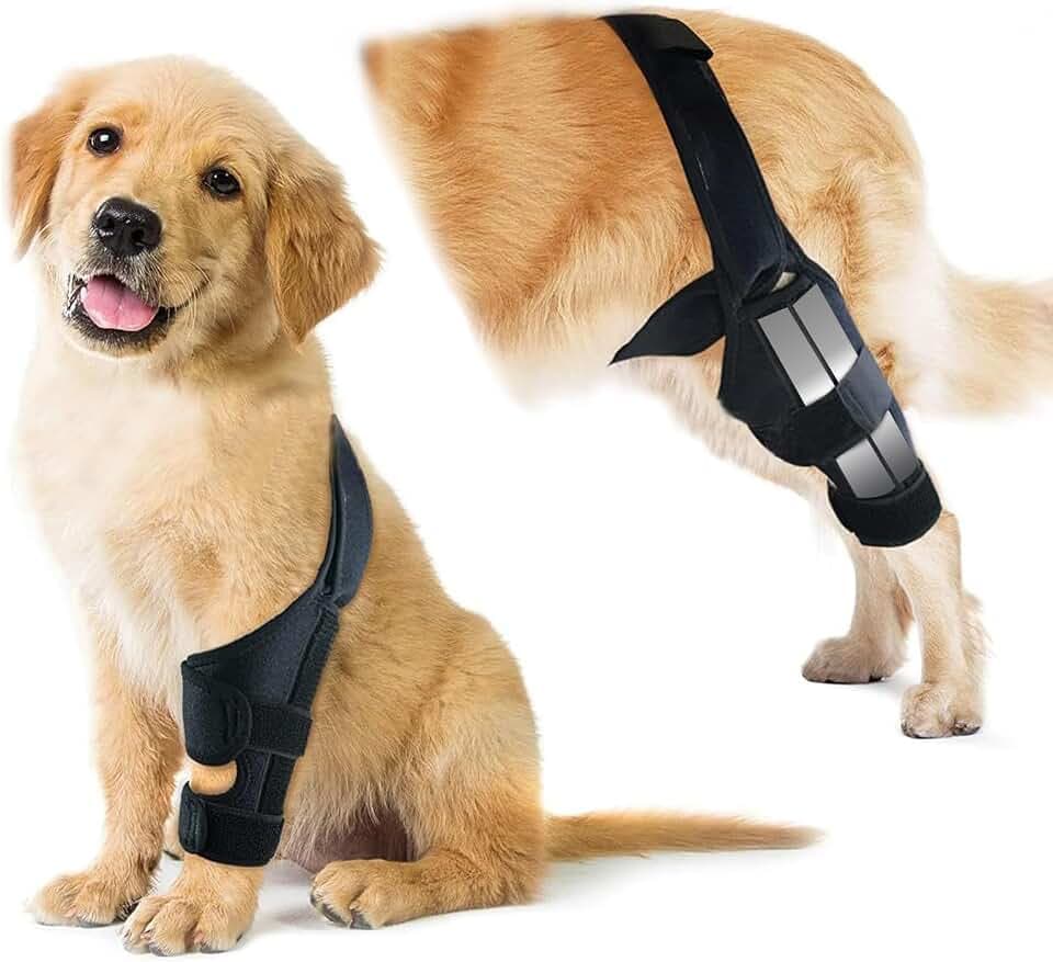 Hunde-Kniebandage für Hinterbeine, verstellbare ACL-Genesungshilfe für Hunderückenbeine, Kreuzbandstütze für verletzte ältere Hunde, warme Gelenk- und Linderungsschmerzen, Tauchtuch-Material (Schwarz