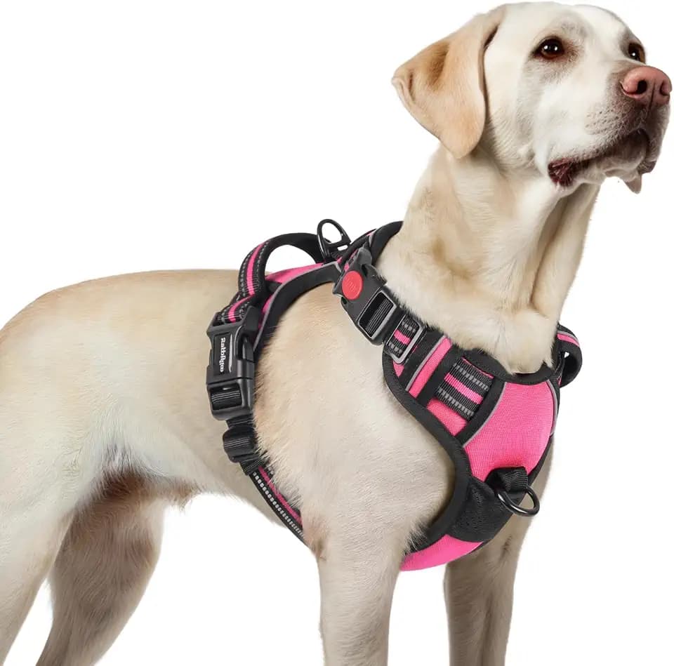 rabbitgoo Dog Harness for Large, Updated Easy On & Off with 3 Buckles