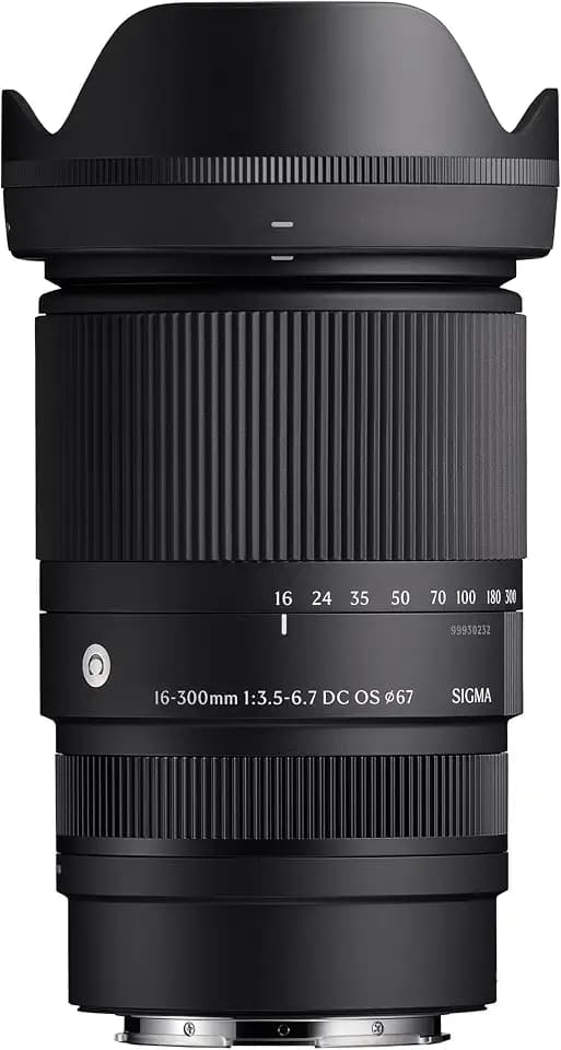Sigma 16-300mm F3.5-6.7 DC OS | Contemporary für Sony-E Mount