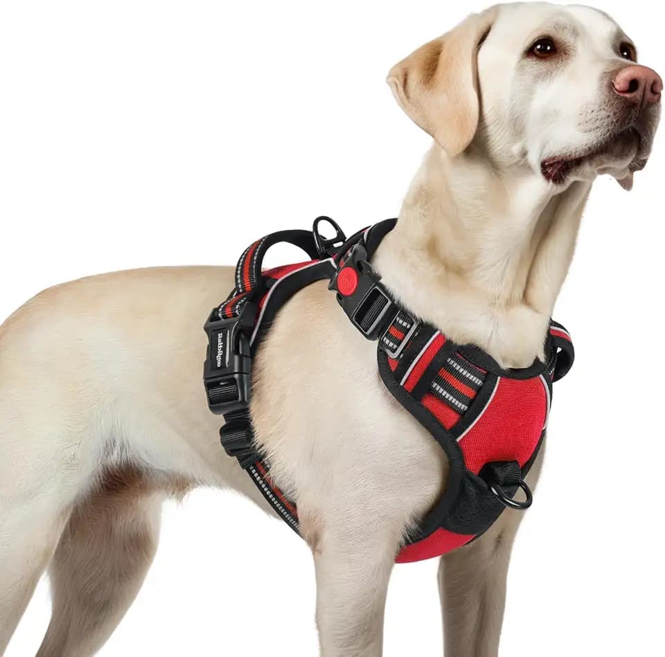 rabbitgoo Dog Harness for Large, Updated Easy On & Off with 3 Buckles