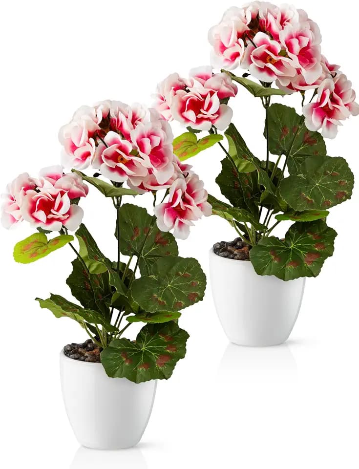 PASCH® Künstliche Geranien im Hochglanz-Keramiktopf | Kunstblumen im Topf | Künstliche Blumen wie echt | Fake Blumen | Kunstblumen wie echt (Beauty, 2 Stück, 25cm)