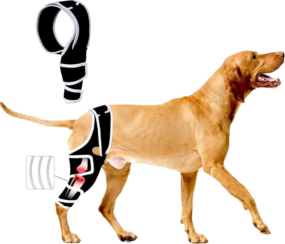 Hunde-Kniebandage für gerissenes ACL-Hinterbein, Hundekniebandagen mit Kreuzbandverletzungen, Hinterbeine oder Vorderbeine, Hundekniebandage für Luxation der Patella, Hüftdysplasie, hilft Schmerzen zu