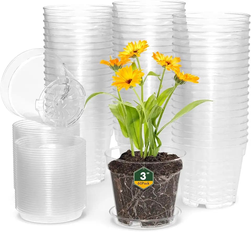 WSMKSZ 3 Inch Clear Nursery Pots, 60 Pack Highly Transparent Plastic Seedling Starter Planters with Drainage Holes and Trays for Flowers, Small Plant Pots for Indoor Plants