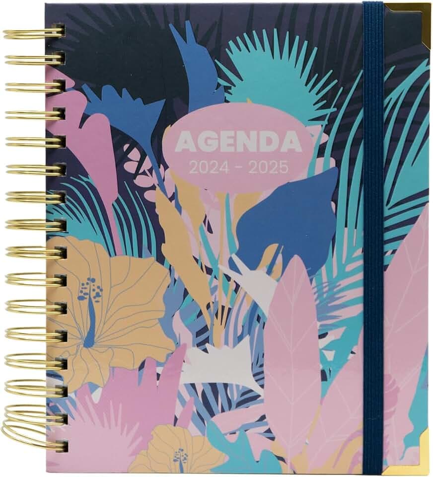 Candance Schülerkalender 2024-2025, Tag- und Jahresplaner, Premiumeinband, Jahresplaner mit 1 Tag pro Seite und Monatstrennern, Größe 2,5 x 17,5 x 21,5 cm. Sweetcolor