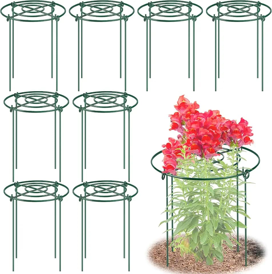 8 Pack Peony Cages and Supports, 11.5" Dx16 H Metal Plant Supports