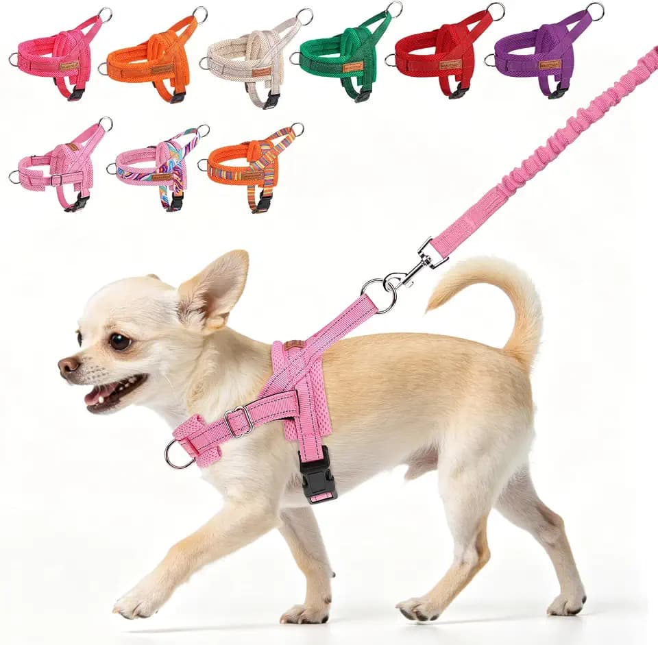 BEAUTYZOO Small Dog Harness and Leash Set, No Pull Step in Puppy Vest