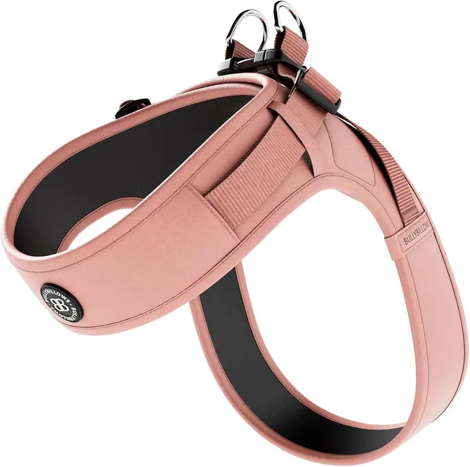 BullyBillows Boomerang Geschirr für kleine Hunde/Welpen – Rosa, S