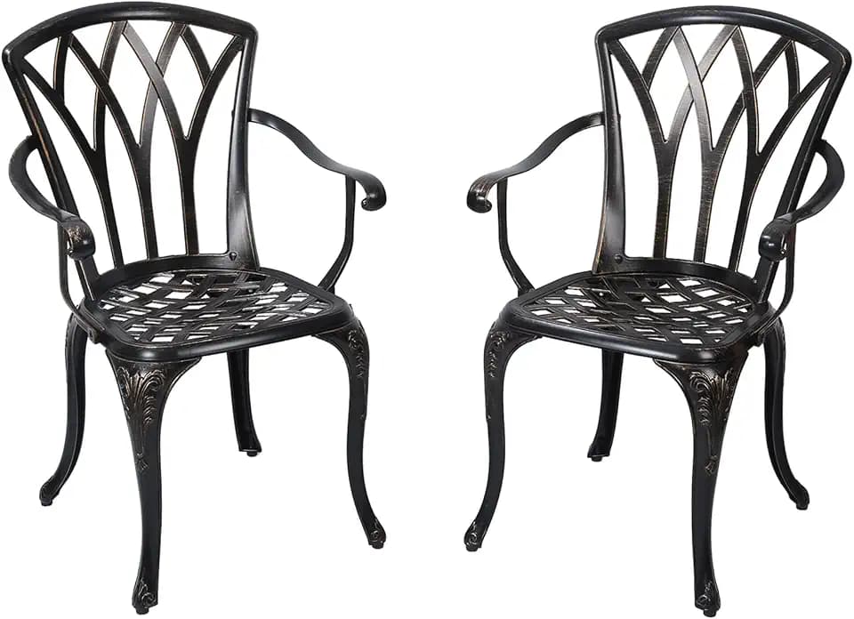 Patio Chairs Set of 2, Cast Aluminum Outdoor Dining Chair for Garden, Backyard, Balcony (Bronze)