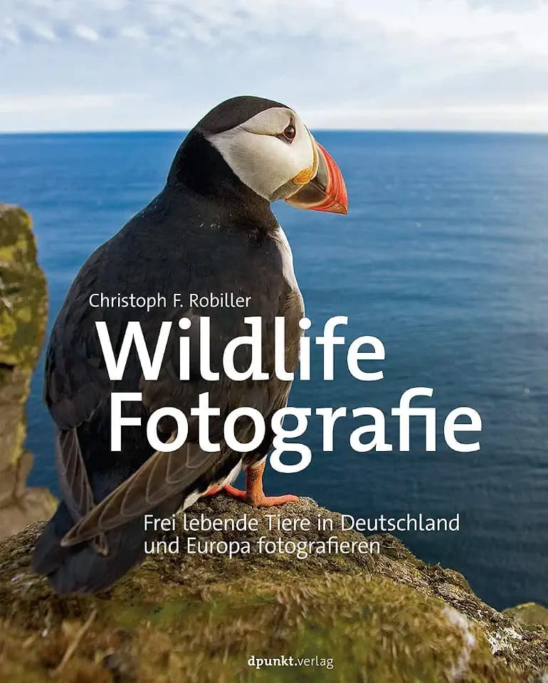 Wildlife-Fotografie: Frei lebende Tiere in Deutschland und Europa fotografieren