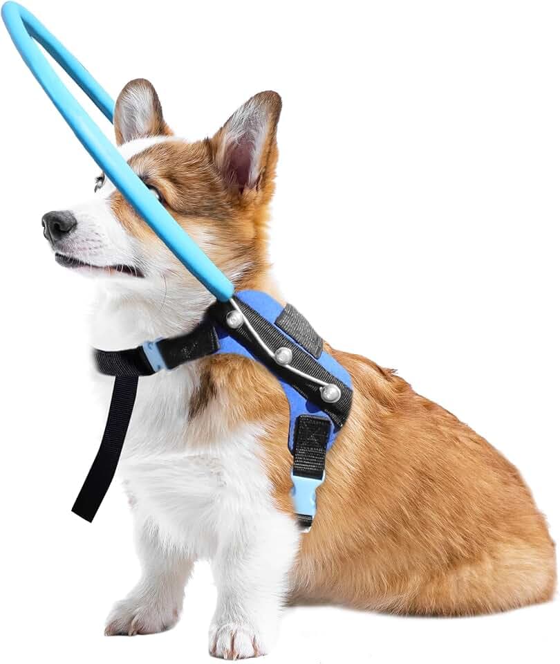 Blind Dog Halo Geschirr, Schutzhalsband mit reflektierenden Riemen, Selbstbewusstseinsaufbaugerät für sehbehinderte Hunde