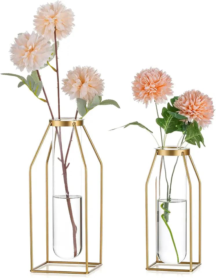 Sziqiqi Metall Reagenzgläser Blumenvase - Gold GestellVase mit Gläser 19.5/24.5cm Moderne Draht Vase für Wohnzimmer Tischdeko Design Geometrisch Vase für Rose Pflanzen Pampas Trockenblumen