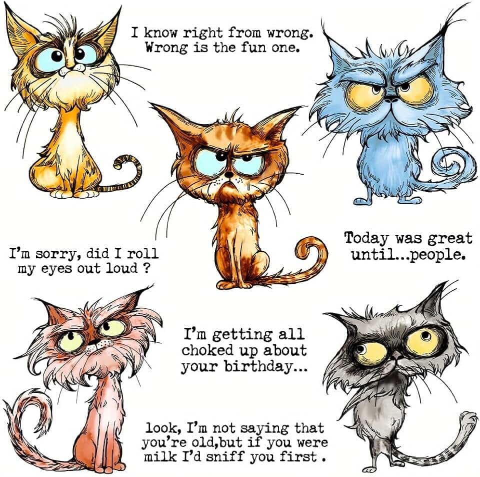 LZBRDY Cute Funny Angry Cats Metal Cutting Dies & Clear Stamp Set for DIY Scrapbooking and Greeting Card Decoration - Silicone Stamps & Dies for Card & Album Decor
